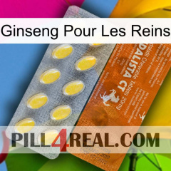 Ginseng For Kidney 42